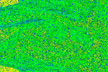 Hayattaki yaratıcı çizimler. Tasarımcılar için renkli ve güzel arkaplan modelleri.