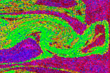 Hayattaki yaratıcı çizimler. Tasarımcılar için renkli ve güzel arkaplan modelleri.