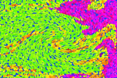 Hayattaki yaratıcı çizimler. Tasarımcılar için renkli ve güzel arkaplan modelleri.