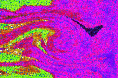 Hayattaki yaratıcı çizimler. Tasarımcılar için renkli ve güzel arkaplan modelleri.