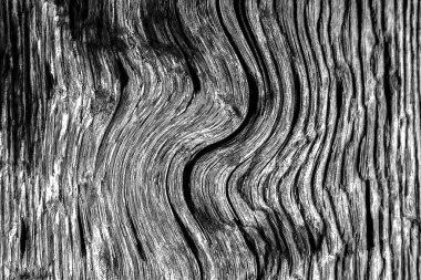 Mürekkep, soyut sanat, soyut çizgiler. Doku arka planı. düzensiz desen. Moda tasarımı. Ritmik gürültü parçacıkları. paketleme deseni