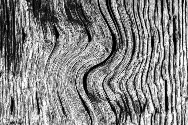 Mürekkep, soyut sanat, soyut çizgiler. Doku arka planı. düzensiz desen. Moda tasarımı. Ritmik gürültü parçacıkları. paketleme deseni