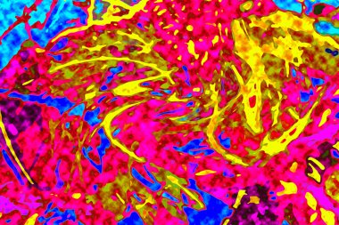 Yüksek kaliteli soyut tablolar tasarımcılara modern bir sanat arkaplanı kazandırıyor.