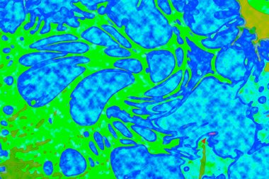 Yüksek kaliteli soyut tablolar tasarımcılara modern bir sanat arkaplanı kazandırıyor.