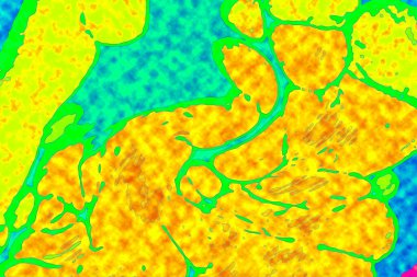 Yüksek kaliteli soyut tablolar tasarımcılara modern bir sanat arkaplanı kazandırıyor.