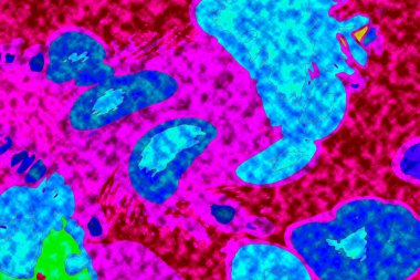 Yüksek kaliteli soyut tablolar tasarımcılara modern bir sanat arkaplanı kazandırıyor.