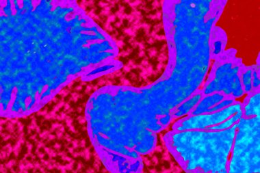 Yüksek kaliteli soyut tablolar tasarımcılara modern bir sanat arkaplanı kazandırıyor.