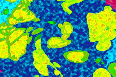 Yüksek kaliteli soyut tablolar tasarımcılara modern bir sanat arkaplanı kazandırıyor.