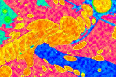 Yüksek kaliteli soyut tablolar tasarımcılara modern bir sanat arkaplanı kazandırıyor.