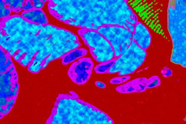 Yüksek kaliteli soyut tablolar tasarımcılara modern bir sanat arkaplanı kazandırıyor.