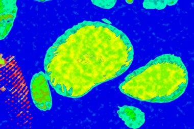 Yüksek kaliteli soyut tablolar tasarımcılara modern bir sanat arkaplanı kazandırıyor.