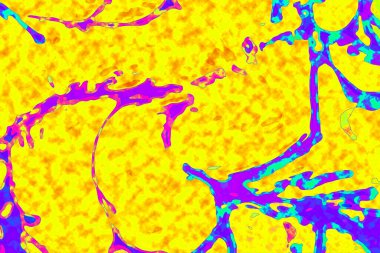 Yüksek kaliteli soyut tablolar tasarımcılara modern bir sanat arkaplanı kazandırıyor.