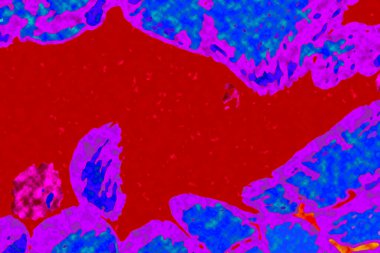 Yüksek kaliteli soyut tablolar tasarımcılara modern bir sanat arkaplanı kazandırıyor.