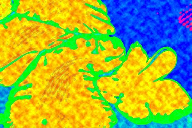 Yüksek kaliteli soyut tablolar tasarımcılara modern bir sanat arkaplanı kazandırıyor.