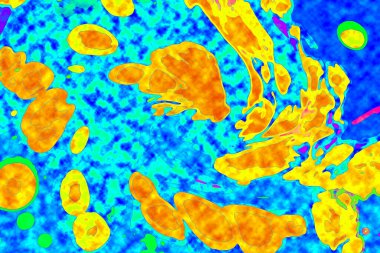 Yüksek kaliteli soyut tablolar tasarımcılara modern bir sanat arkaplanı kazandırıyor.