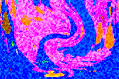 Yüksek kaliteli soyut tablolar tasarımcılara modern bir sanat arkaplanı kazandırıyor.