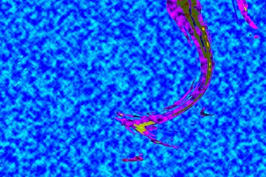 Yüksek kaliteli soyut tablolar tasarımcılara modern bir sanat arkaplanı kazandırıyor.
