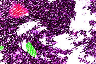 Yüksek kaliteli soyut tablolar tasarımcılara modern bir sanat arkaplanı kazandırıyor.