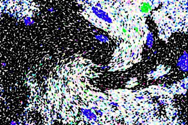 Yüksek kaliteli soyut tablolar tasarımcılara modern bir sanat arkaplanı kazandırıyor.