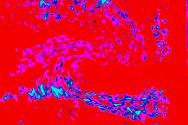 Yüksek kaliteli soyut tablolar tasarımcılara modern bir sanat arkaplanı kazandırıyor.