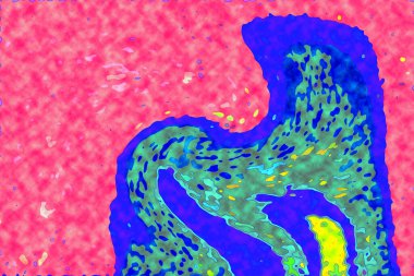 Yüksek kaliteli soyut tablolar tasarımcılara modern bir sanat arkaplanı kazandırıyor.