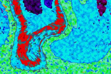 Yüksek kaliteli soyut tablolar tasarımcılara modern bir sanat arkaplanı kazandırıyor.