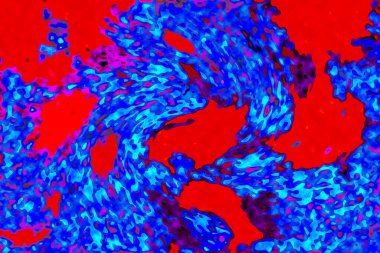 Yüksek kaliteli soyut tablolar tasarımcılara modern bir sanat arkaplanı kazandırıyor.