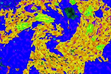 Yüksek kaliteli soyut tablolar tasarımcılara modern bir sanat arkaplanı kazandırıyor.