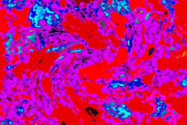 Yüksek kaliteli soyut tablolar tasarımcılara modern bir sanat arkaplanı kazandırıyor.