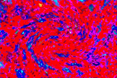 Yüksek kaliteli soyut tablolar tasarımcılara modern bir sanat arkaplanı kazandırıyor.