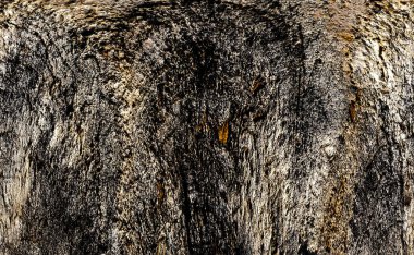 Kırsal taşlar, paslanmış dokular, renkli ve ilginç arka planlar ve büyüleyici dokular, web tasarımı ve soyut arkaplanlar için kullanılır.