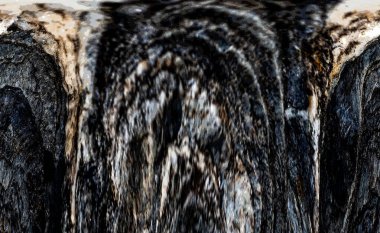 Kırsal taşlar, paslanmış dokular, renkli ve ilginç arka planlar ve büyüleyici dokular, web tasarımı ve soyut arkaplanlar için kullanılır.