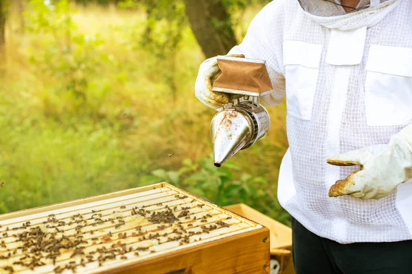 양봉가가 벌을 돌보고, 벌을 확인하고, 꿀을 확인하고, 양봉가가 벌집을 탐험하고, 벌을 흡연하고, — 스톡 사진