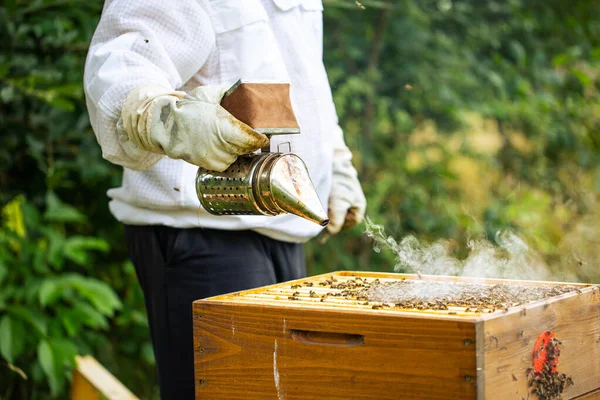 Bijenroker met imker die in zijn bijenstal werkt op een bijenboerderij, bijenhouderijconcept — Stockfoto