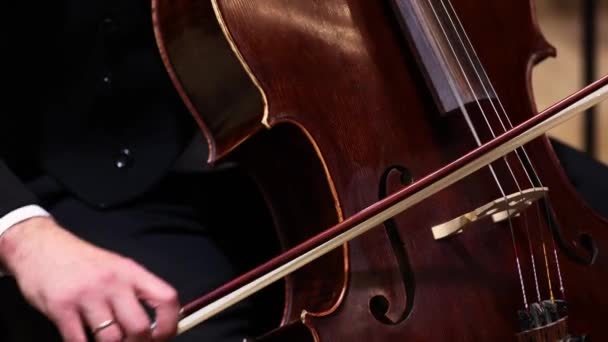 Filarmoni Orkestrasında Çift Basçı Enstrüman Konsepti — Stok video