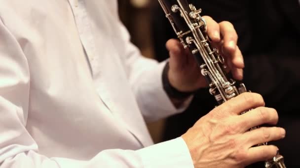 Saxophone Player Μια Φιλαρμονική Ορχήστρα Έννοια Όργανο — Αρχείο Βίντεο