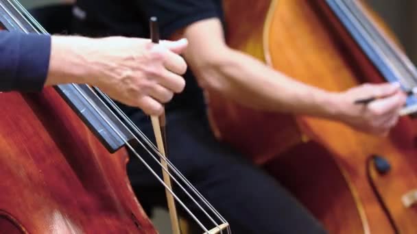 Dubbele bassist speelt in het filharmonisch orkest, instrumentconcept — Stockvideo