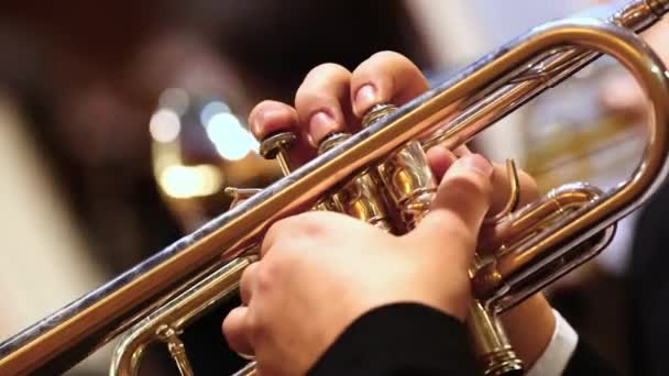 Τρομπετίστας που παίζει στη φιλαρμονική ορχήστρα, έννοια όργανο — Αρχείο Βίντεο
