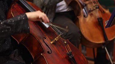 Orkestra, filarmoni müziği çalıyor. Çift bas, sanat konsepti.