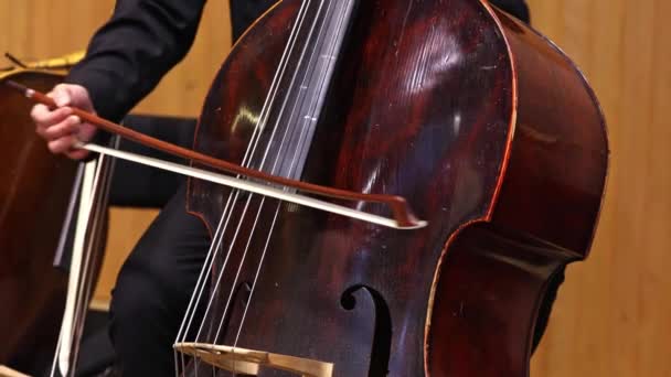 Orchestral Playing Philharmonic Music Double Bass Art Concept — Stock Video