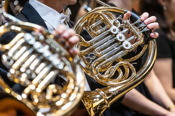 Philharmonic orchestra playing on a french horn, performance concert, classical music concept