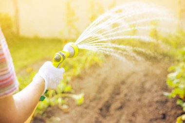 Bahçıvanın kurak mevsimde bahçe ya da sebzeleri sulaması, yaz mevsimi, küresel ısınma, bahçıvanlık konsepti