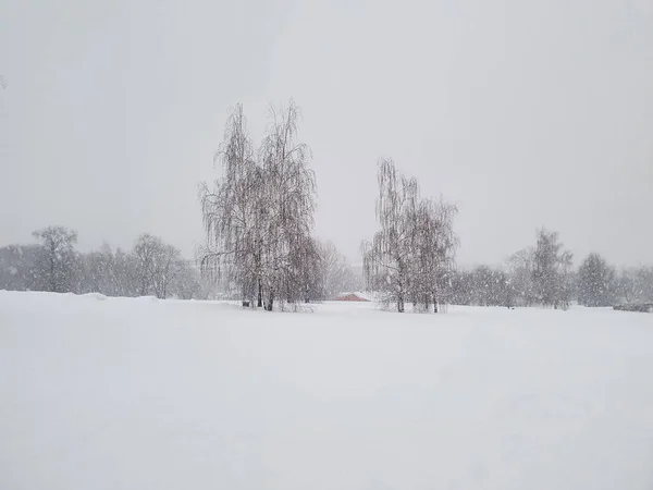 15.02.2021-17.02.2021. Fuertes nevadas en Moscú. Parque en Tsaritsyno —  Fotos de Stock