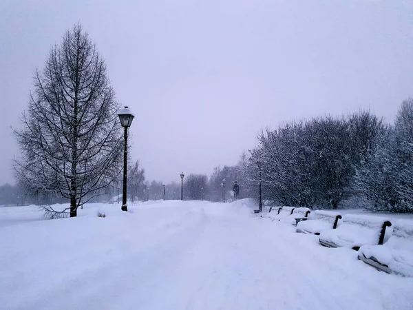 15.02.2021-17.02.2021. De fortes chutes de neige à Moscou. Parc à Tsaritsyno — Photo