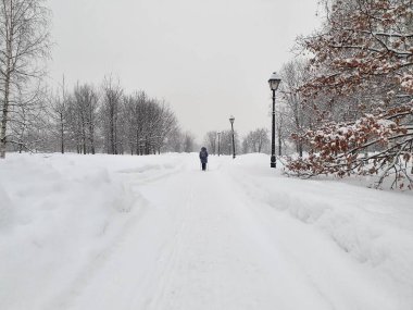 15.02.2021-17.02.2021. Moskova 'da şiddetli kar yağışı var. Tsaritsyno 'ya park et.