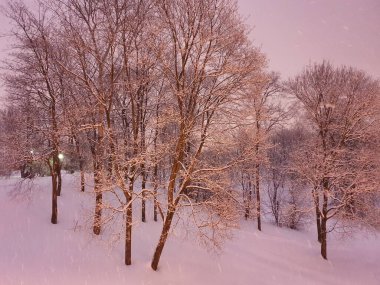 15.02.2021-17.02.2021. Moskova 'da şiddetli kar yağışı var. Tsaritsyno 'ya park et.