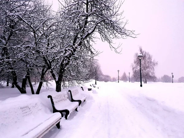 15.02.2021-17.02.2021. Heavy snowfall in Moscow. Park in Tsaritsyno — Stock Photo, Image