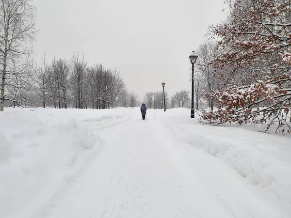 15.02.2021-17.02.2021. Moskova 'da şiddetli kar yağışı var. Tsaritsyno 'ya park et.