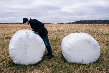 Çiftçi ve saman yığınları kış için toplandı