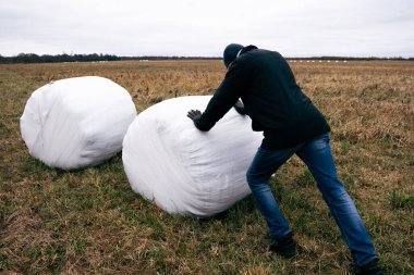 Çiftçi ve saman yığınları kış için toplandı